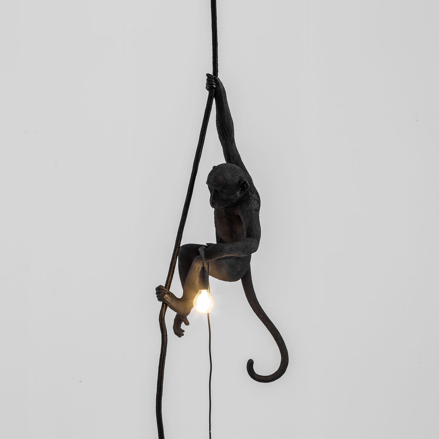 Monkey Lamp Ceiling Black