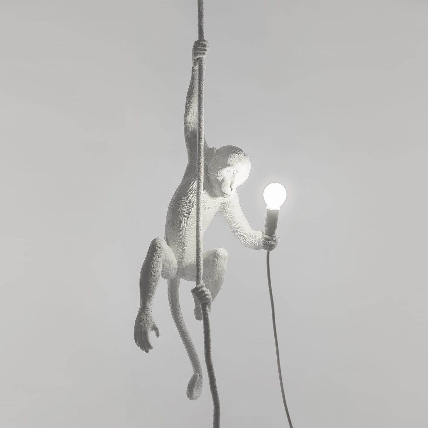 Monkey Lamp Ceiling