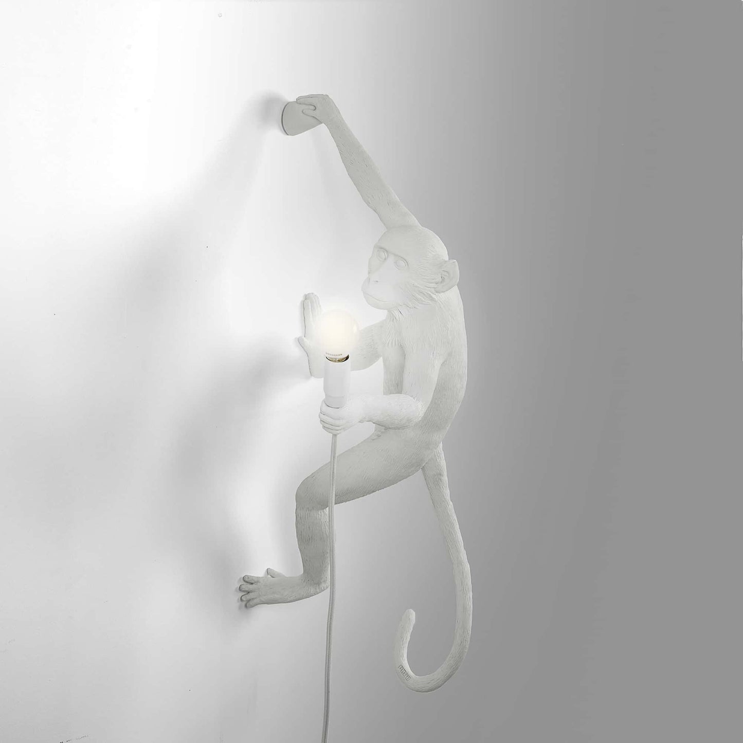 Monkey Lamp Hanging Right