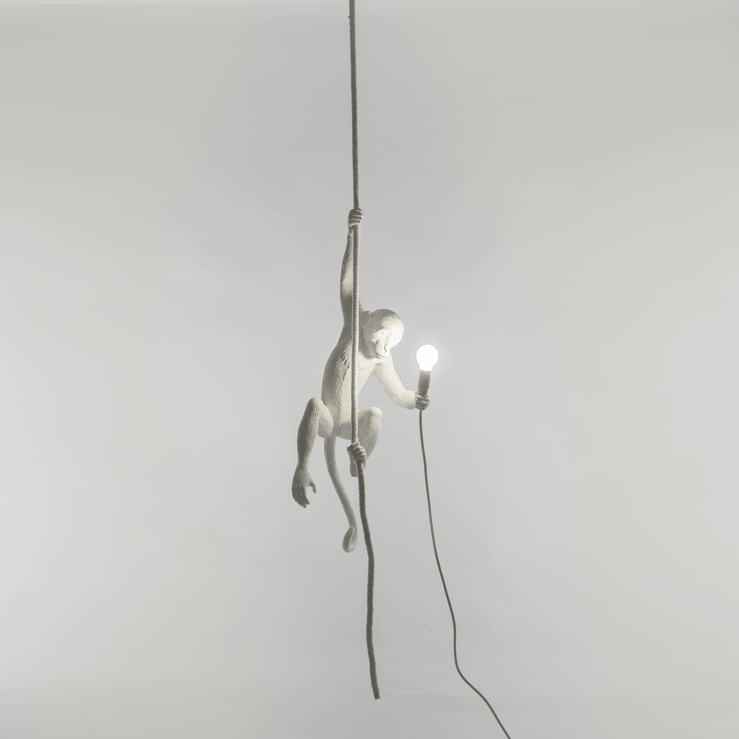 Monkey Lamp Ceiling