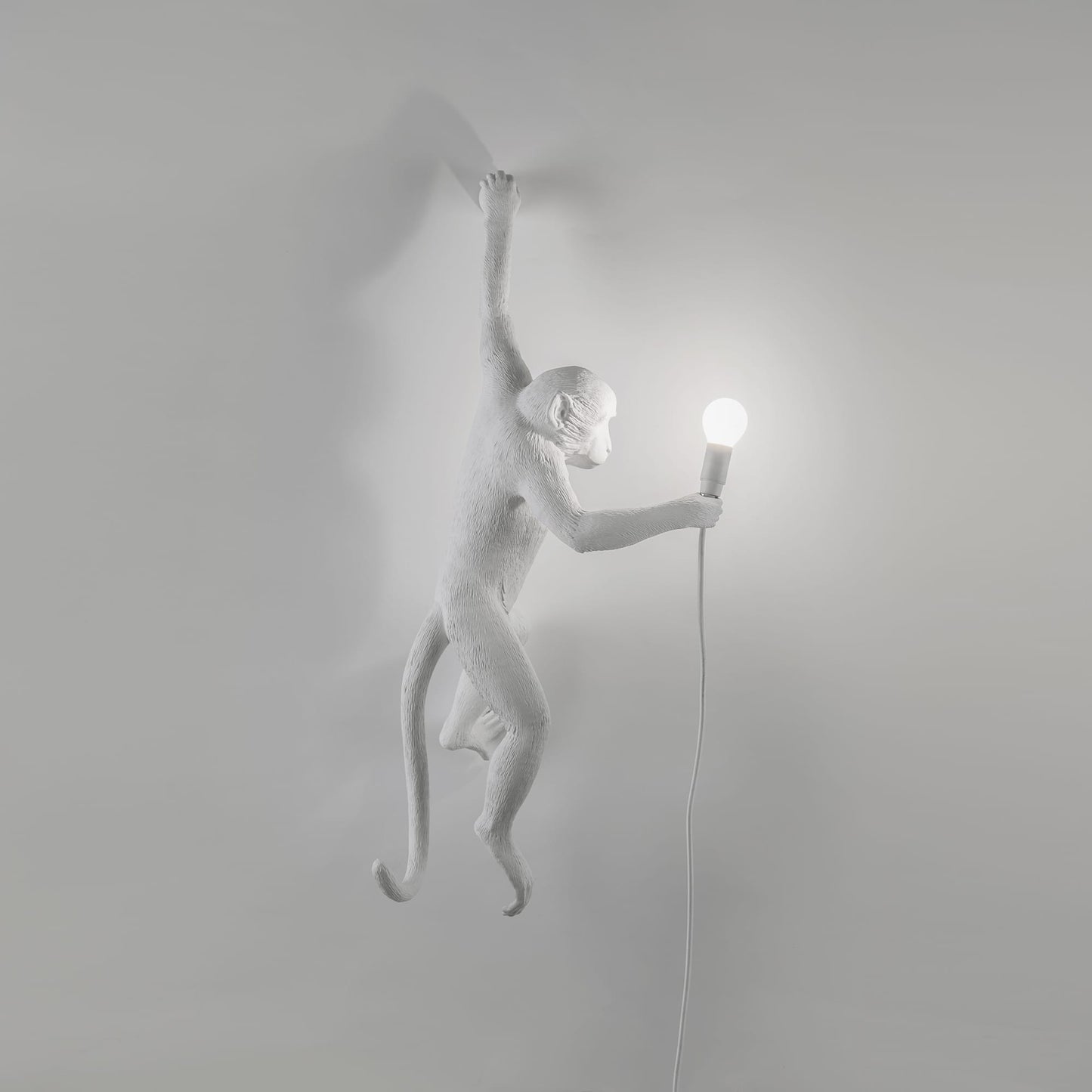 Monkey Lamp Hanging Left
