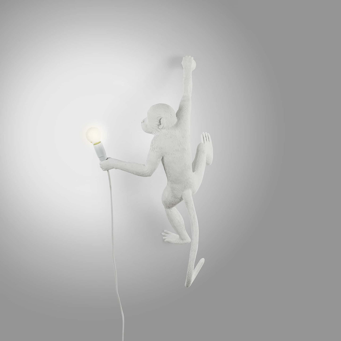 Monkey Lamp Hanging Right