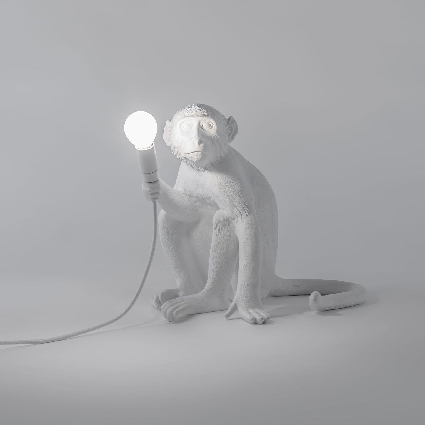 Monkey Lamp Sitting