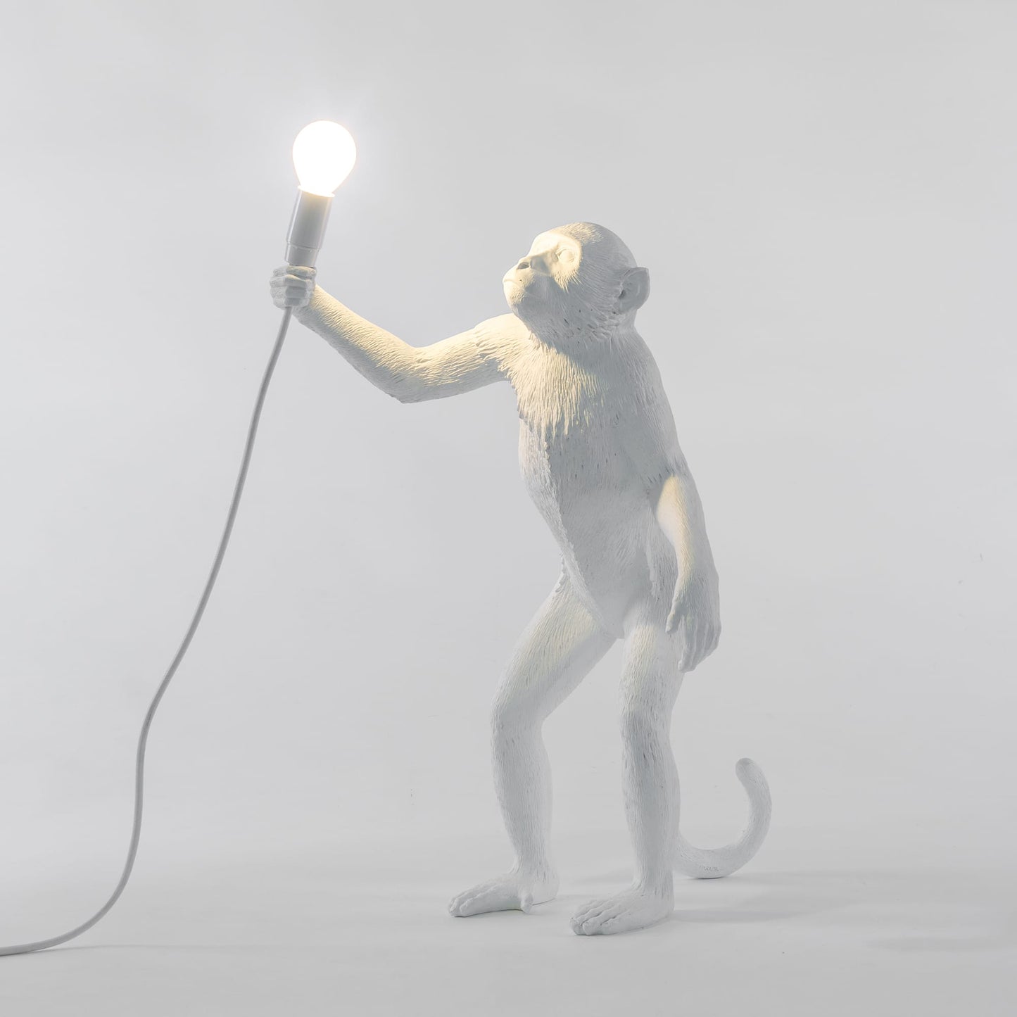 Monkey Lamp Standing