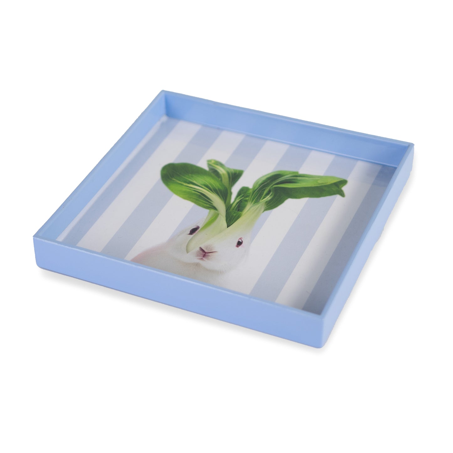 Vassoi svuota tasche con fondo colorato