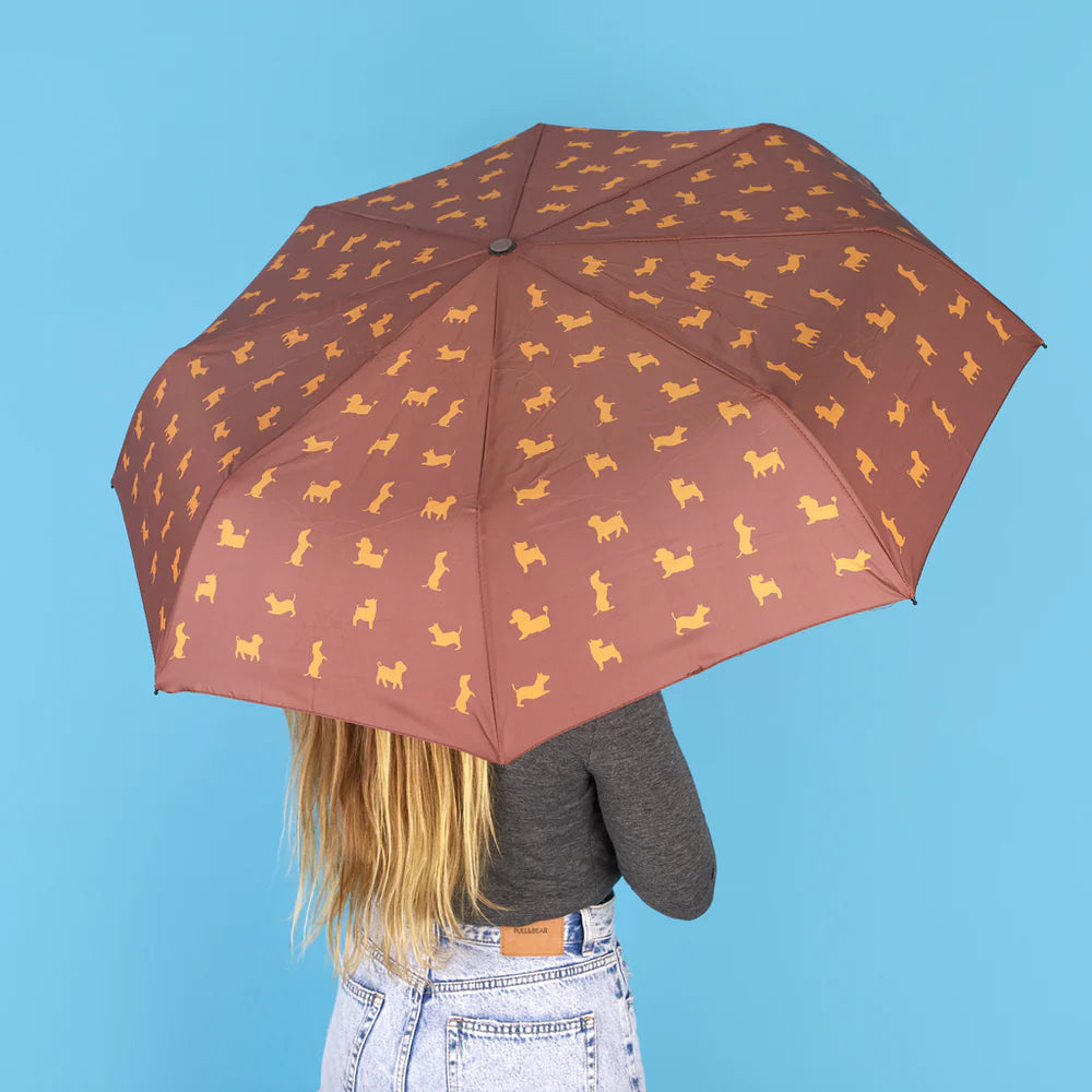 Ombrello PUPPYMBRELLA - Marrone