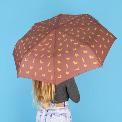 Ombrello PUPPYMBRELLA - Marrone