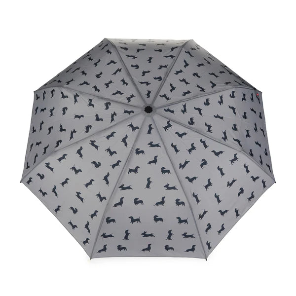 Ombrello TECKEL - Vari Colori