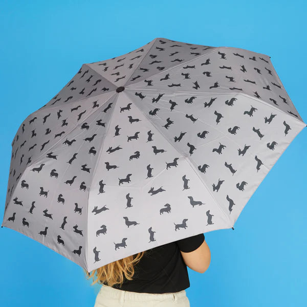 Ombrello TECKEL - Vari Colori