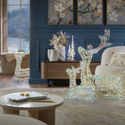 Decorazione Led Sogno D'Inverno - Grande