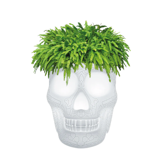 Mexico Vaso Portabottglie LED