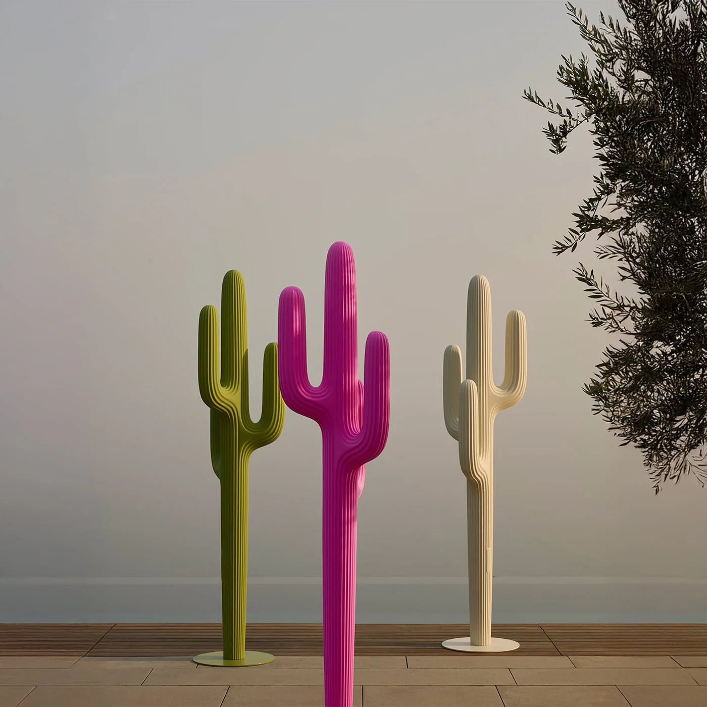 Saguaro Appendiabiti - Verde