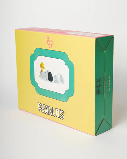 Snoopy Quadretto WOODSTOCK