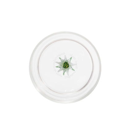 TECA WINTER GAME Set 5 Bicchieri