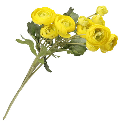 Il Ranuncolo - Giallo