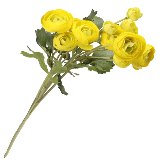 Il Ranuncolo - Giallo