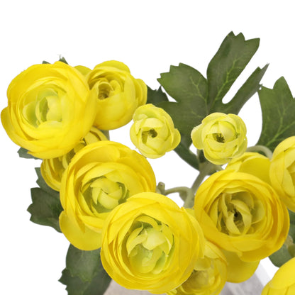 Il Ranuncolo - Giallo