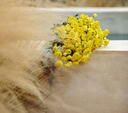 Il Ranuncolo - Giallo