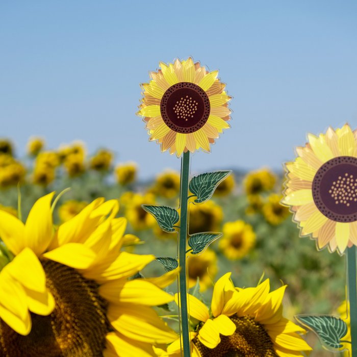 Funny Flowers GIRASOLE - Piccolo