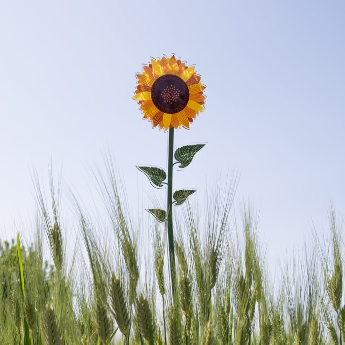 Funny Flowers GIRASOLE - Piccolo