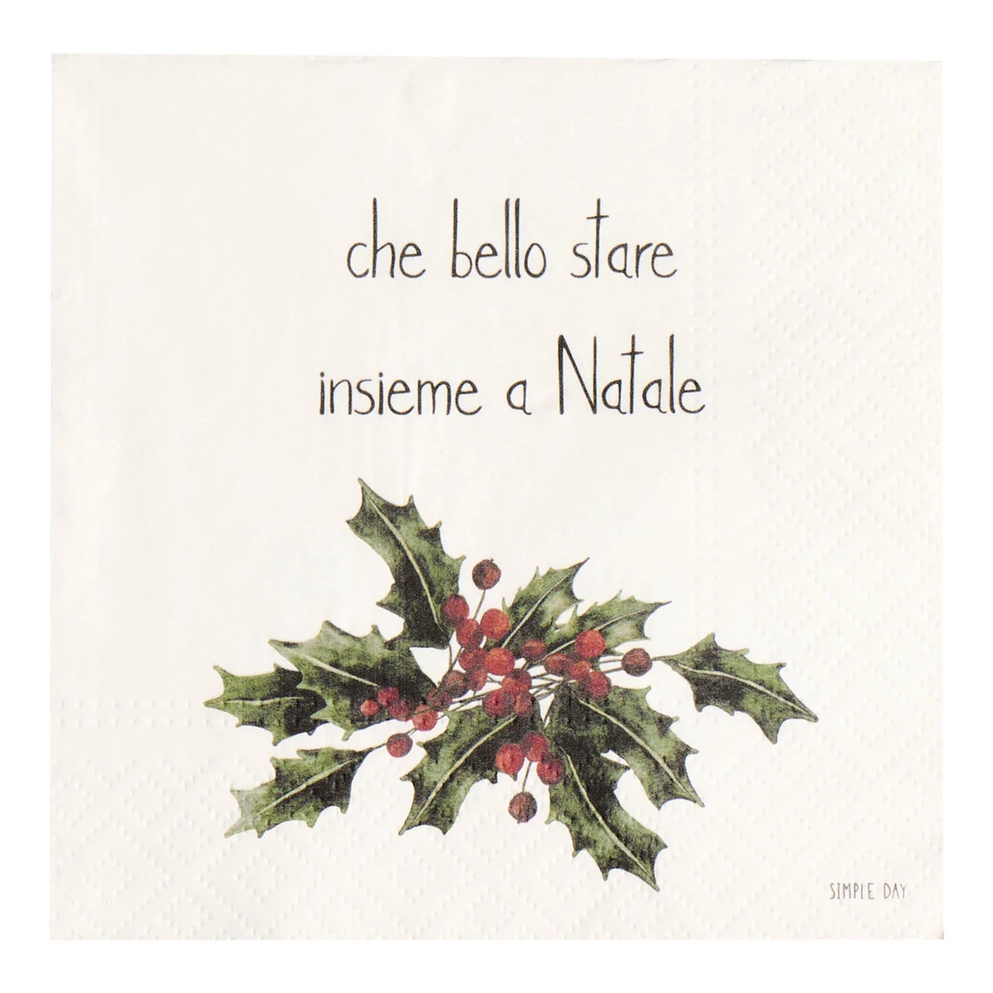Set 20 Tovaglioli di Carta Natale - Varie Scritte