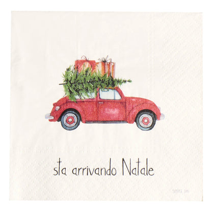 Set 20 Tovaglioli di Carta Natale - Varie Scritte