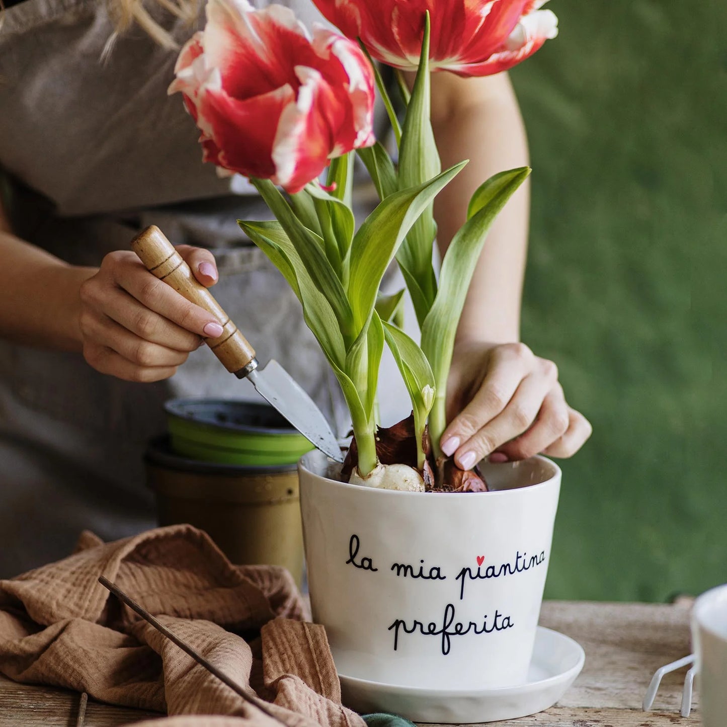 Vaso con sottovaso "La mia piantina preferita"